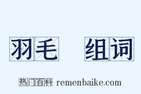 羽毛紗组词是什么意思的图片